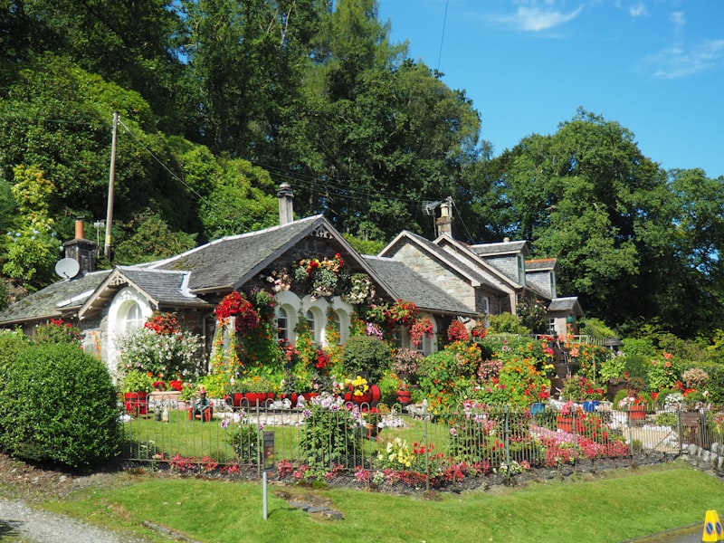 Lush green garden and home